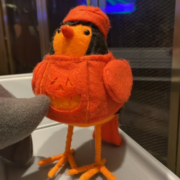 Target Halloween Carver Pumpkin Bird & Winter Bird - Picture 2 of 3